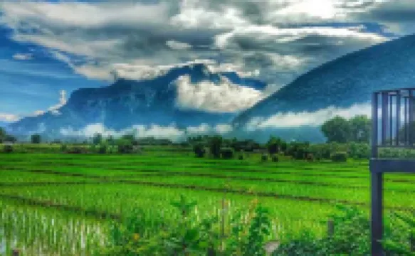 Ban Thung Talay Mok Chiangdao