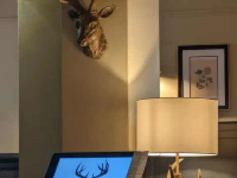 The Buck Hotel Hotels in Middlesbrough