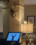 The Buck Hotel Hôtels à : Skutterskelfe