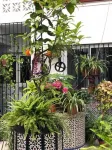 Hostal Mellizo