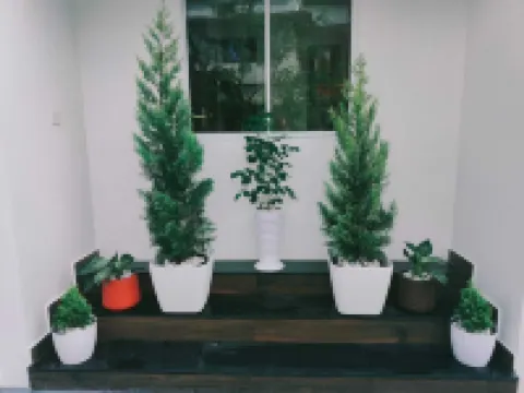 Palm Paradise Beach Resort Varkala