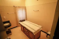 Ambassador Ajanta Hotel, Aurangabad - spa