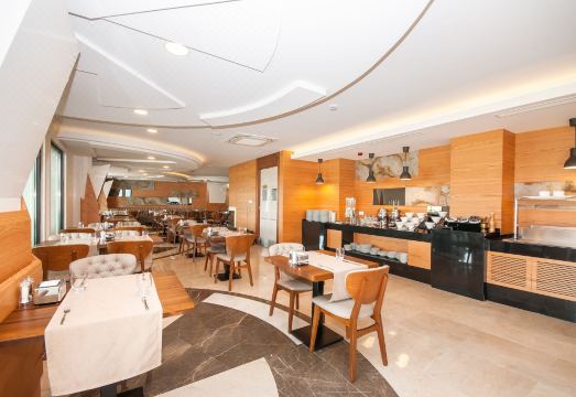 아크로터 호텔 & 스파 다트차