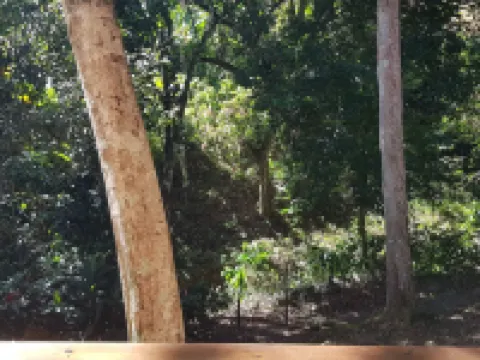 Private apartment Hoteles en Jarabacoa