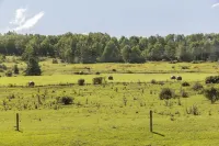 Stony Fork Inn