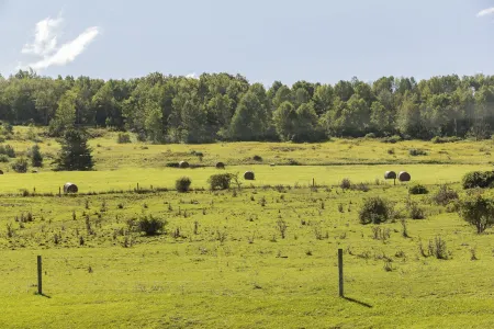 Stony Fork Inn Отели рядом с достопримечательностью «Парк Пакер»