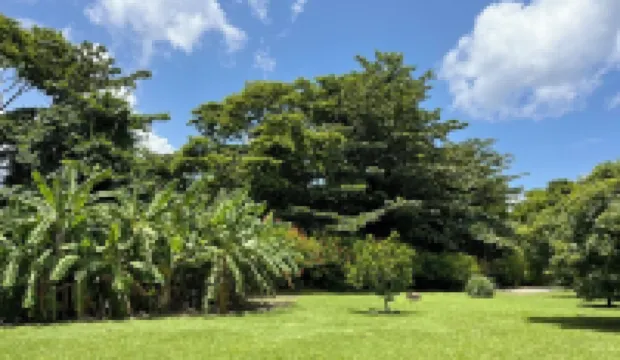 T3 Anse à L'ane à 3 Minutes à Pieds de la Plage et Commodités, Piscine Partagée  호텔