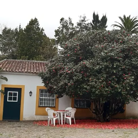 New Moon Studio - Quinta da Saudade