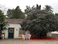 New Moon Studio - Quinta da Saudade