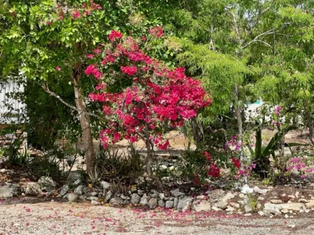 Waterfront Villa with Dockside Patio, Paddleboards & Pontoon Boat Rental option