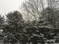 Great Massanutten Contemporary Property (Sleeps 10) - Military Discount Avail Hotels in Massanutten