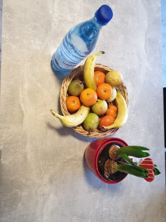 Apartment Kehl central and quiet near Strassbourg / Europapark Отели рядом с достопримечательностью «Passerelle Mimram»