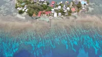 Oceanfront home with breathtaking views, and complete relaxation  pet friendly