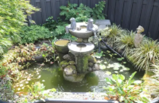 Sunnybeachhouse aan het Bos, Tussen zee en Meer