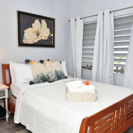 Hidden Gem- Charming Winter Escape to Island Life!