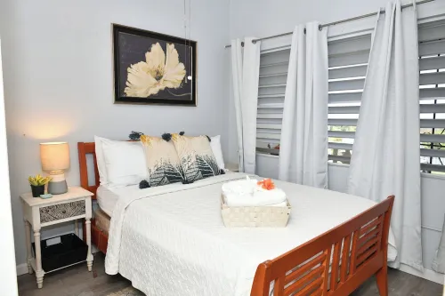 Hidden Gem- Charming Winter Escape to Island Life!