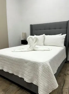 NEW Downtown Loft Cozumel