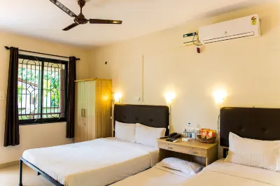 Lazy Frog Guest House