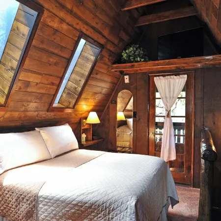 Bear Creek Motel and Cabins