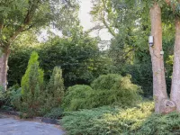 Albies End Hotels in Battle