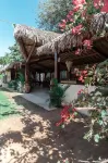 我的米杜納斯旅館 - 寵物友善