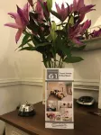 Number 61 Guest House and Tea Room - 4-stjärniga