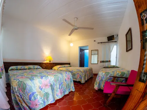 Hotel Delfin