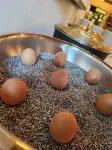 Trail-Inn Natur & Sporthotel - breakfast