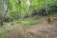 Greystone - Creekside Cabin Hike, Fish and Explore!