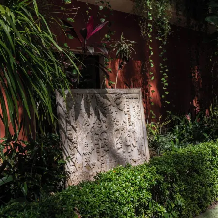 Maya Tulipanes Express