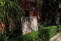 Maya Tulipanes Express