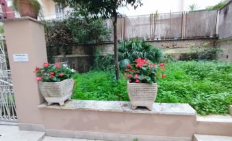 VATICAN GREEN GARDEN