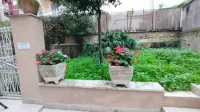 VATICAN GREEN GARDEN Hotels near Stadio Olimpico