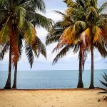 The Funky Dodo Backpackers Hostel Hotels in Dangriga