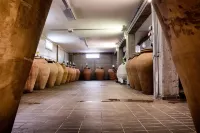 I Cacciagalli فنادق في Conca della Campania