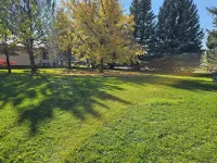 Delightful 2-bedroom house.  Convenient location in Cody.