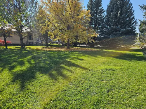 Delightful 2-bedroom house.  Convenient location in Cody.