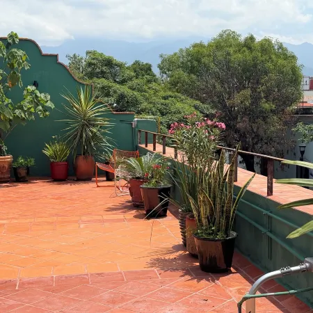 Ginger Banana Hostel