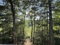 Firefly 3BR/3BA cabin with amazing views!