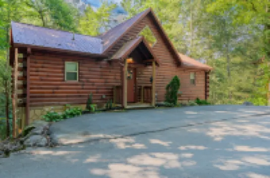 210 Cubs in the Treetops 2 Bedroom Home by Redawning