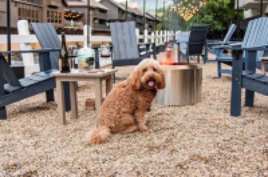 Gatlinburg River Inn