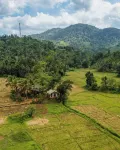 Forest & Fields Sinharaja