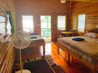 The Green Parrot Fish at King Lewey's Island Resort, Placencia Cayes, Belize  호텔