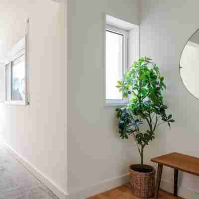 Acm021 Spacious 3BR for Families w/ Balcony Others