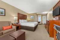 컴포트 인 다운타운 멤피스