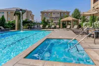 Modern 1Br Reno Retreat · Near Reno Events & Pool - Rooftop Pools
