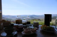 Villa w/ Magical Views of the Douro River Valley, Enjoy Wine Tours & Fine Dining Hotels in Sabrosa