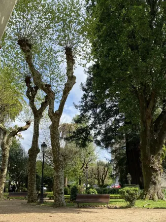 Padrón Centro, Camino De Santiago