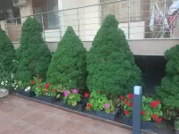 Hotel apartment with a pool right across the street from the beach Hotels in Nessebar