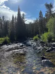 Escape to the Choosey Moose Cabin in the mountains of Dubois, WY
